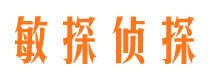 镇康找人公司